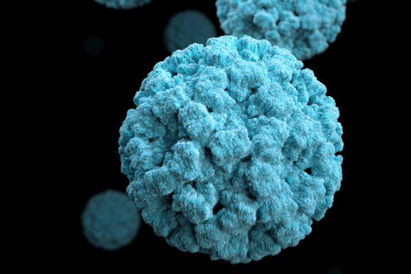 ¿Qué es el norovirus y cómo combatirlo?