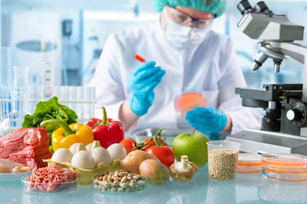 ¿Cuáles son los pilares de la seguridad alimentaria?
