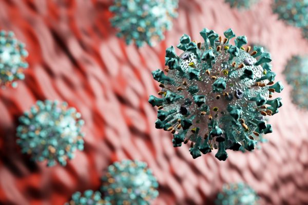 La desinfección, el mejor método frente al coronavirus