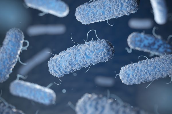 Por qué nos debe preocupar la legionella