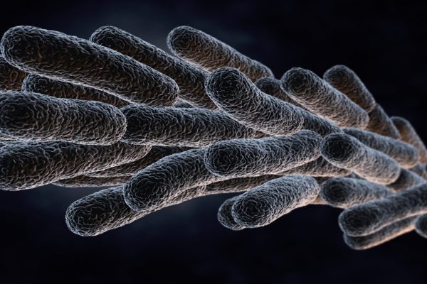 Legionella: prevención y control