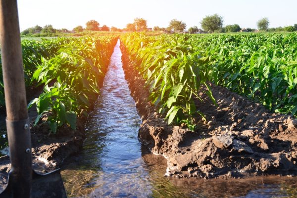 Los tratamientos de agua terciarios que más se usan
